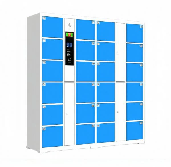 Electronic Package Lockers